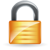 SSL icon